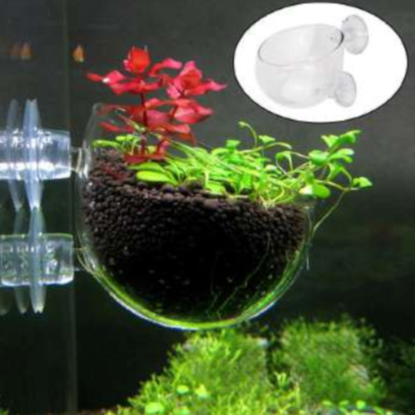 Vaso decorativo em vidro p/ Plantas